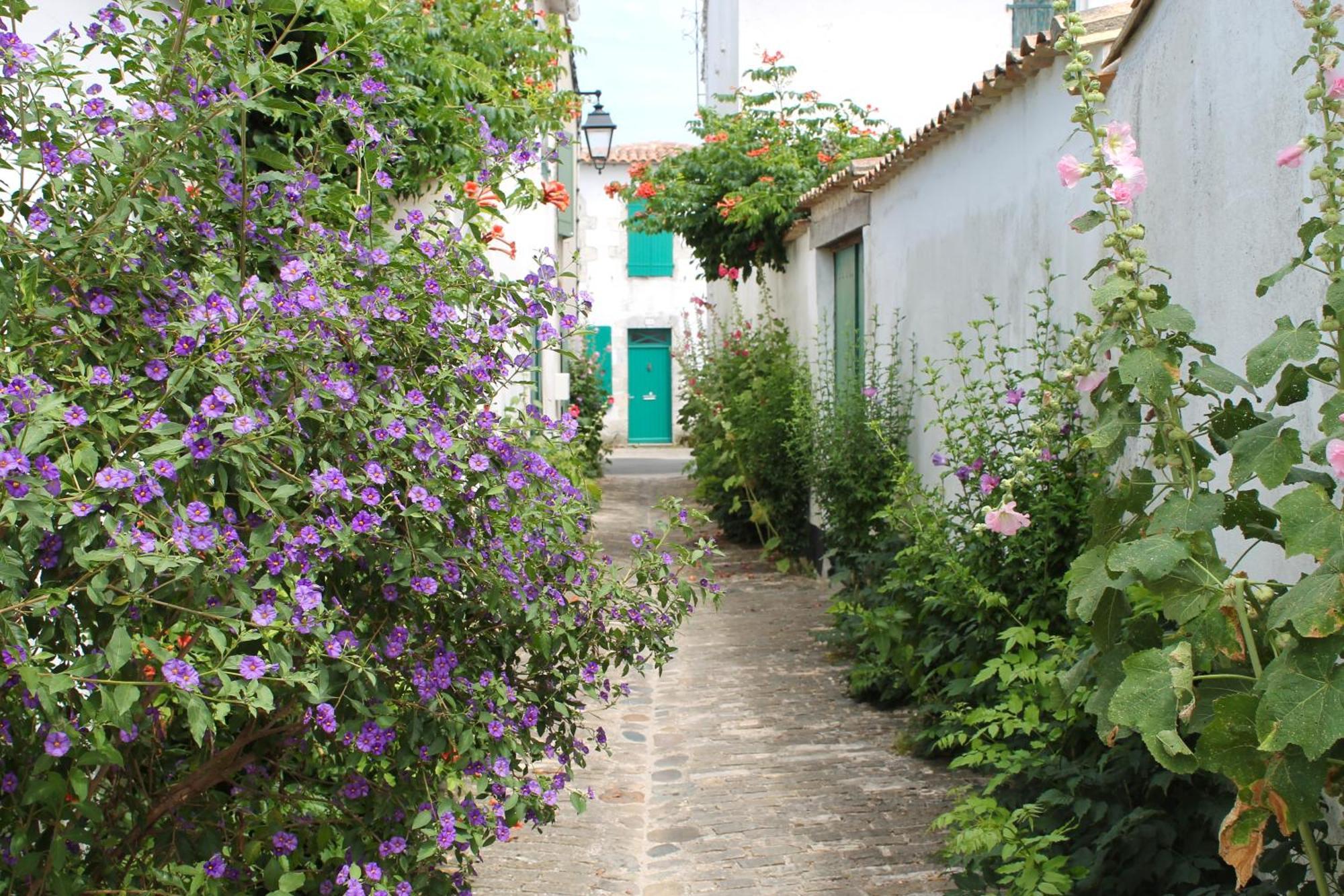 Le Clos Des Vieux Moulins La Flotte